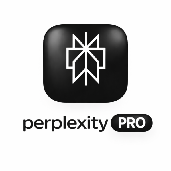 Perplexity